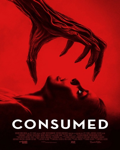 Consumed 2024 Hindi ORG Dual Audio HDRip 480p 300MB 720p 800MB ESubs